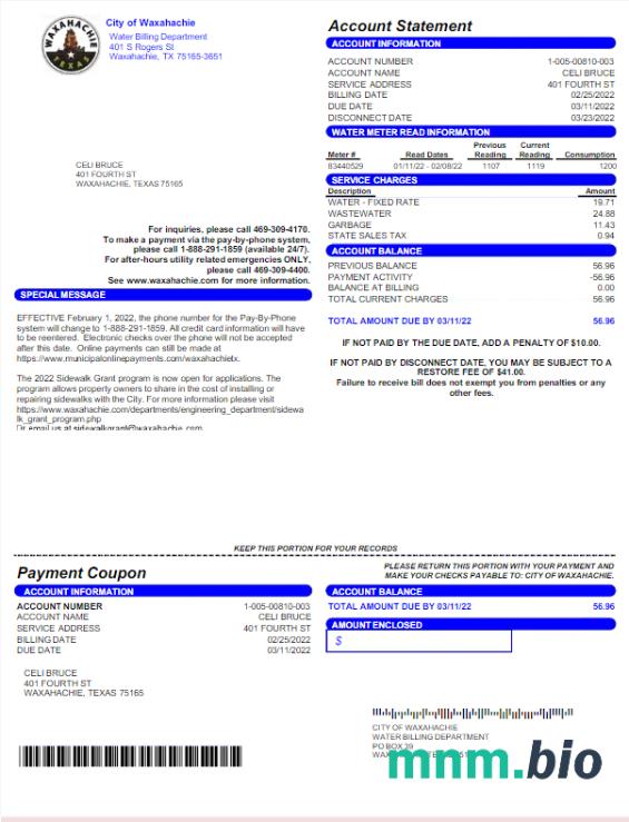 USA Miasto WAXAHACHIE rachunek za media słowo i szablon PDF